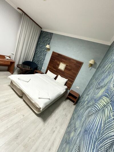 Фотография номера гостиницы Парк-Отель Маликон