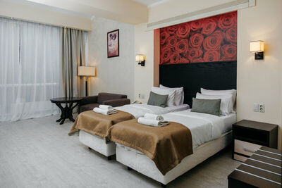 Фотография номера гостиницы Парк-Отель Маликон