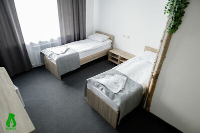 Фотография номера гостиницы Forest