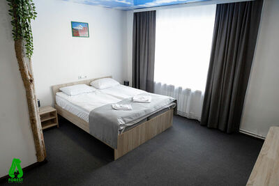 Фотография номера гостиницы Forest