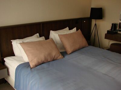 Фотография номера гостиницы Смольнинская