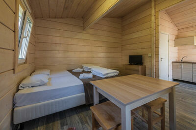 Фотография номера базы отдыха Парк-отель Яркое