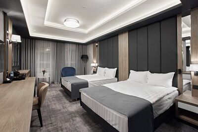 Фотография номера гостиницы Гранд-отель МЕГАПОЛИС