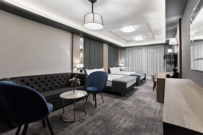 Фотография номера гостиницы Гранд-отель МЕГАПОЛИС