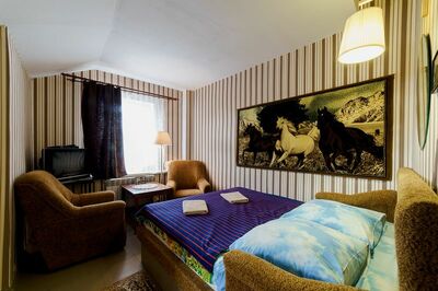 Фотография номера гостиницы Родина