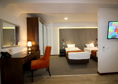 Фотография номера гостиницы Аванта