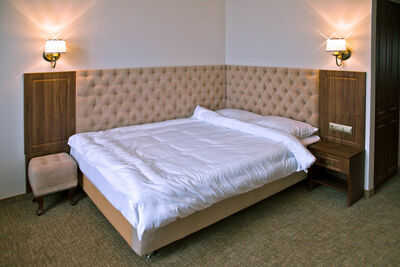 Фотография номера гостиницы Ретро