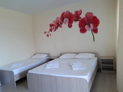 Фотография номера мини отеля Добрый бобр