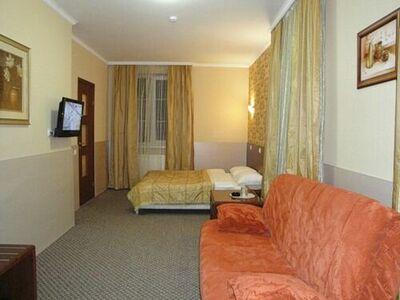 Фотография номера гостиницы Стрелецкий