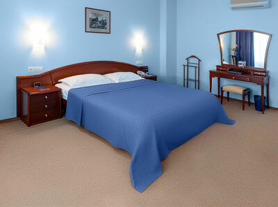 Фотография номера гостиницы Александровский сад