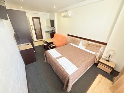 Фотография номера апарт отеля Близнецы