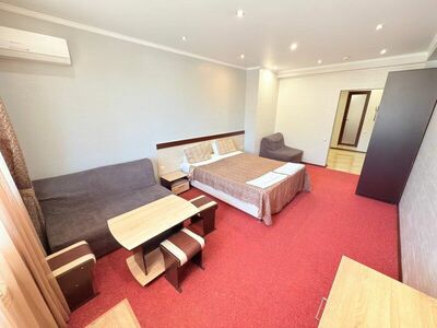 Фотография номера апарт отеля Близнецы