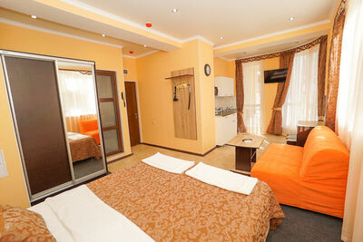 Фотография номера апарт отеля Близнецы