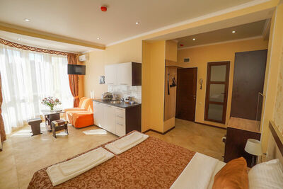 Фотография номера апарт отеля Близнецы