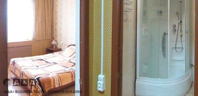 Фотография номера гостиницы Лебедь