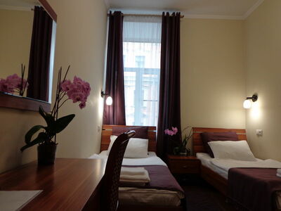 Фотография номера мини отеля Mushroom