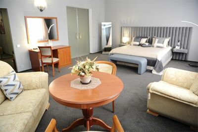 Фотография номера гостиницы Альянс