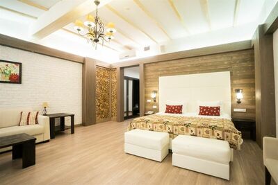 Фотография номера базы отдыха Парк-отель Русский