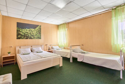 Фотография номера гостиницы Зеленый