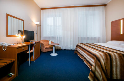 Фотография номера гостиницы Новинка