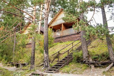 Фотография номера гостиницы Алтай Берег