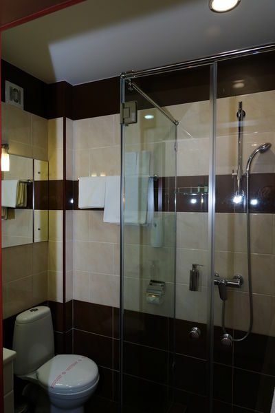 Фотография номера гостиницы Медведь