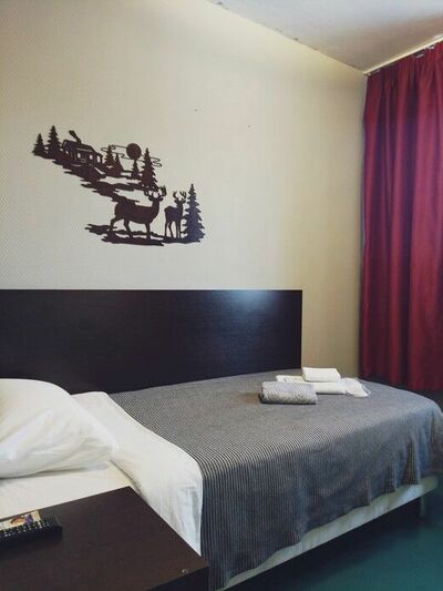 Фотография номера мини отеля Снегири