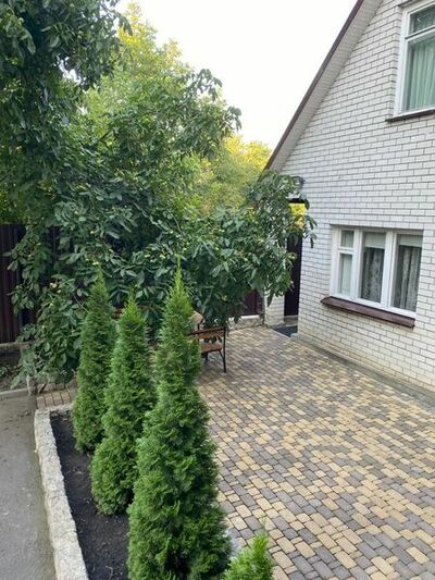 Фотография номера гостиницы Ночной квартал