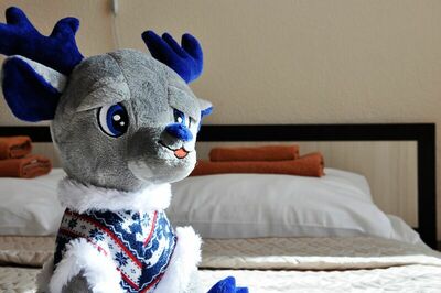 Фотография номера гостиницы Беломорье