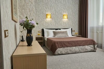 Фотография номера гостиницы Дружба