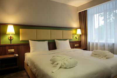 Фотография номера гостиницы Девон