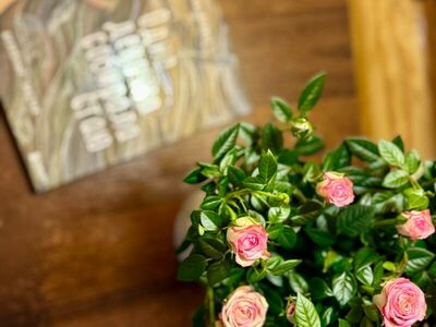 Фотография номера базы отдыха Кокос