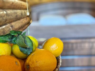 Фотография номера базы отдыха Кокос