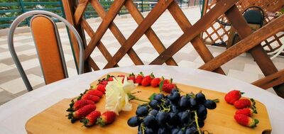 Фотография номера пансионата Уральские самоцветы