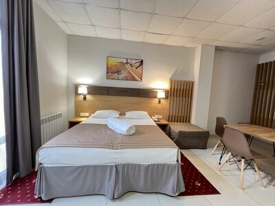 Фотография номера гостиницы Де Париж