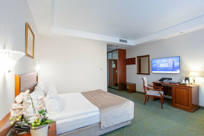 Фотография номера гостиницы Видгоф