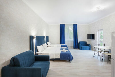 Фотография номера гостиницы Pegasas