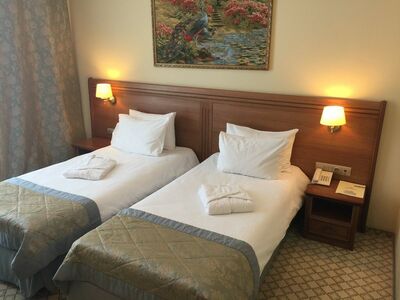 Фотография номера гостиницы Биляр Палас