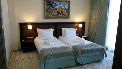 Фотография номера гостиницы Биляр Палас