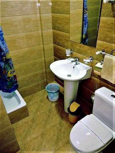 Фотография номера гостиницы Фантазия