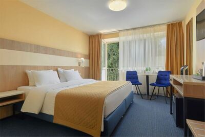 Фотография номера гостиницы Парк-отель ЗВЕНИГОРОД