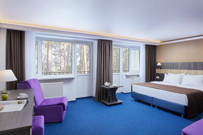 Фотография номера гостиницы Парк-отель ЗВЕНИГОРОД