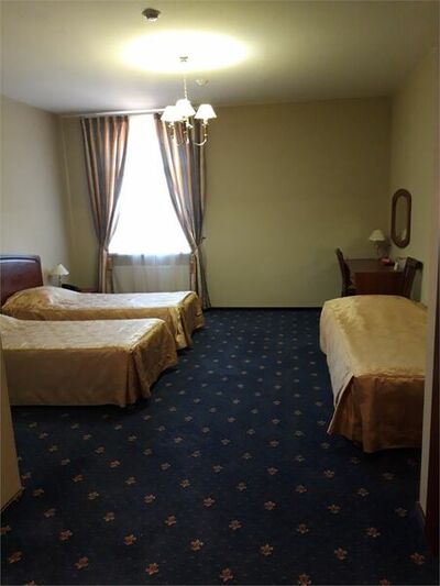 Фотография номера гостиницы Тосно