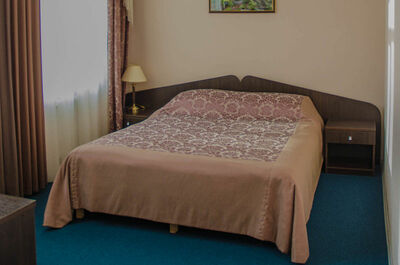 Фотография номера гостиницы Турья