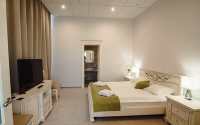 Фотография номера гостиницы Триумф Отель