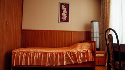 Фотография номера гостиницы Урал