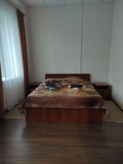 Фотография номера гостиницы Родник