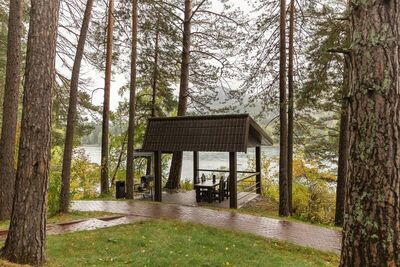 Фотография номера гостиницы Шишка