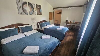 Фотография номера гостевого дома Шишкино-парк