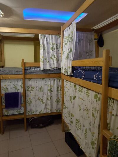 Фотография номера хостела Свои 
